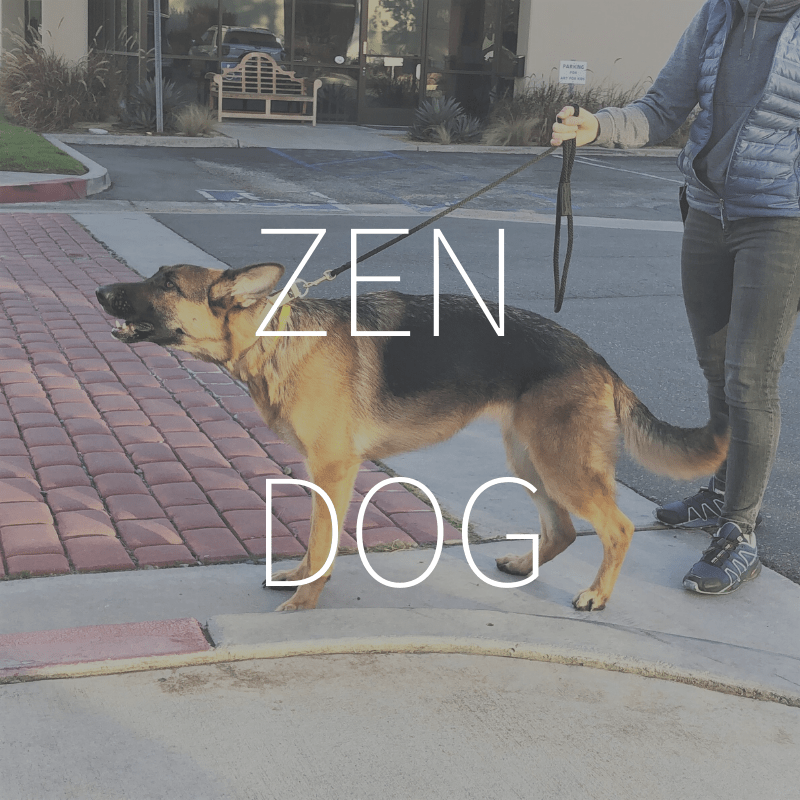 Zen Dog